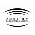 16_auditorium_parco_della_musica.jpg