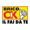 19_Brico_OK_Logo.jpg